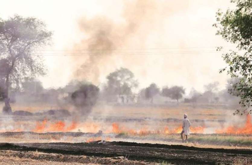 Due To Burn Parali Air Pollution May Increase In Delhi And Ncr  Patrika News